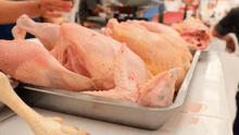Por gripe aviar declaran cuarentena de 30 días en región: Senasa dispuso medida en puntos de venta de pollo