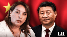 Dina Boluarte en China: últimas noticias y actividades de la presidenta en Shanghái