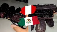 Mexicano compara el maíz morado peruano con el de su país y queda sorprendido: “Me gustó más”