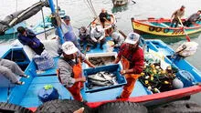 Pescadores artesanales rechazan reglamento de  Ley 31749 porque pone en riesgo el mar peruano