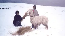 Senamhi advierte frío extremo en 9 regiones de la sierra peruana: conoce las zonas azotadas por bajas temperaturas