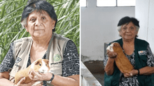 La ingeniera de la UNALM que lideró la creación de 4 razas de cuyes en el Perú: "Fui la única mujer de mi promoción"