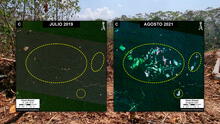 Alarma por construcción de nueva carretera en la selva de Perú que fomentaría el narcotráfico y la tala ilegal