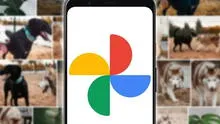 ¿Nueva red social a la vista? Google Fotos incluirá 'Stories' que los usuarios podrán comentar