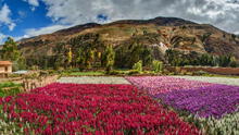 La CIUDAD DE LAS FLORES: descubre que LOCALIDAD PERUANA recibe este nombre y cuántas especies florales alberga