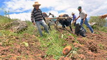 Desarollo sostenible: reconocen a empresas peruanas por su apoyo socioambiental