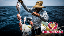 Bienestar 2024: conoce los importantes REQUISITOS para recibir los $7.500 pesos de Bienpesca