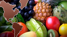 Descubre los 5 países que exportan la mayor cantidad de frutas a todo el mundo: 3 están en América