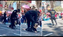 Perrito de la Policía desata las risas al negarse a marchar durante desfile por Fiestas Patrias en Tacna