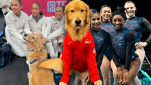 Conoce a Beacon, el perro Golden Retriever viral, que acompaña a Simone Biles y USA en los JJ. OO. París 2024