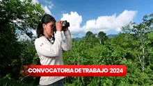 ¡Empleos en costa, sierra y selva! Sernanp abre convocatoria con sueldos de hasta S/8.000