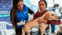 ‘VanCan 2024': Minsa alista campaña de vacunación contra la rabia a más de 3 millones perros a nivel nacional