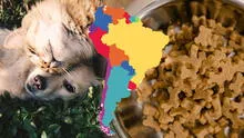 El país de América Latina que más gasta en comida de mascotas: ¿en qué puesto se encuentra Perú?