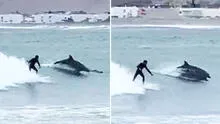 Surfista peruano practicaba en playa de Cañete y es sorprendido por delfines: “La mejor ola de su vida”