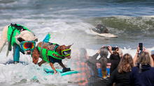 Mundial de surf para perros 2024: así se vivió en imágenes el campeonato de caninos con sus dueños en Estados Unidos