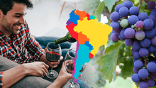 El país de América Latina con el mayor consumo de vino en toda la región: supera a Brasil y Uruguay