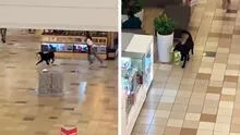 Perrito se roba peluche de tienda y hace correr a vendedora por todo el centro comercial