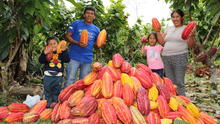 Futuro agridulce para las cooperativas cacaoteras, por Angie Higuchi