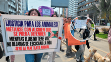 Marcha contra el maltrato animal: ciudadanos se movilizan en defensa de los derechos de las mascotas