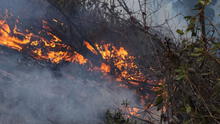 Incendios arrasan miles de hectáreas de bosques y cultivos