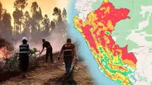 Incendios forestales en Perú 2024 EN VIVO: Boluarte sobrevuela Amazonía, pero Gobierno descarta declarar emergencia