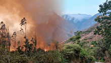 Bosques de Perú dañados por incendios forestales tardarían en restaurarse hasta 100 años