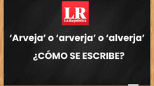 ¿Arveja, arverja o alverja?: conoce la forma correcta de escribir esta palabra, según la RAE