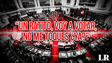 "Un ratito, voy a votar, no me toques ¿ya?”: se filtra audio de parlamentario durante Pleno del Congreso