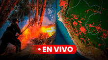 Incendios forestales Perú 2024 EN VIVO: Minsa reporta aumento de fallecidos a 18 y piden ayuda ante la ONU