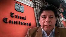 Pedro Castillo solicita hábeas corpus: busca anular cargos por abuso de autoridad