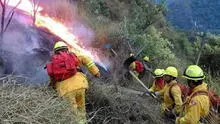 Incendios forestales continúan: ¿qué hacer si encuentras un animal silvestre tras siniestros? Esto dice SERFOR