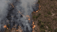 Incendios forestales dejan 20 muertos y  5.000 ha de bosques arrasadas