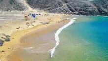 Esta es la playa escondida conocida como el Caribe Peruano: ¿dónde queda y cómo llegar desde Lima?