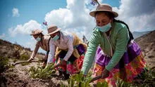 Agro crece 3,3% primeros siete meses del año