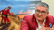 Ministro del Ambiente aseguró que incendios forestales son intencionados: "Ya hemos capturado a algunos"