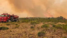 Incendios forestales en Amazonas: Indeci solo tomó fotos y bomberos van con el zapato roto