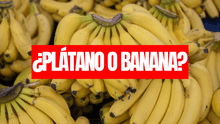 Ni plátano, ni banana: esta fruta es nombrada de otra manera en más de un país de Sudamérica