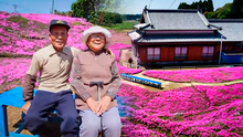 El hombre que plantó 7.000 flores en su jardín para que su esposa ciega las pueda oler