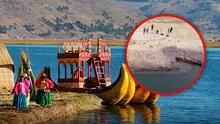 Así es la impresionante embarcación descubierta en el lago Titicaca después de años de investigación: hallazgo es del siglo XIX