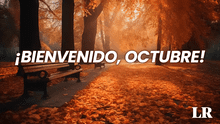 OCTUBRE, frases bonitas 2024: mensajes y lindas dedicatorias para darle la bienvenida a este nuevo mes