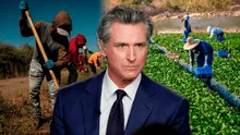 NUEVA LEY en California: Gavin Newsom aprueba medida para los trabajadores agrícolas en Estados Unidos en 2024