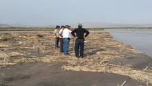 Gobierno prorroga estado de emergencia por 60 días a Moquegua y Arequipa por contaminación de Rio Tambo