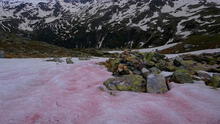 La montaña de California que tiene nieve rosa con olor sandía y es una de las atracciones turísticas de Estados Unidos