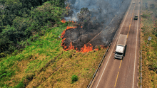 Incendio forestal en Madre de Dios arrasa 30 hectáreas y avanza hacia Cusco dejando animales silvestres muertos