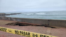 Alerta en la Costa Verde: se desploma parte de malecón de Miraflores tras nueva erosión del mar