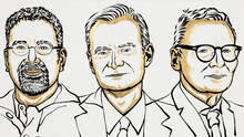 Entregan premio Nobel de Economía 2024 a investigadores por sus trabajos sobre las desigualdades entre países