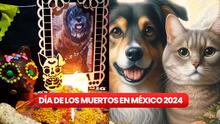 Día de Muertos para mascotas 2024: ¿a qué hora y en qué fecha llegan los gatos y perros fallecidos al altar?