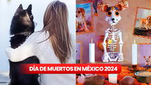 Altar para mascotas por el Día de Muertos 2024: ¿cuándo y qué debe llevar la ofrenda para animales fallecidos?