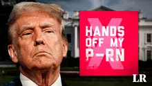 Estrellas porno contra Trump: ¿qué hay detrás de la campaña #HandsOffMyPorn y por qué piden voto de los hombres?