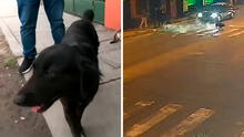 Maltrato animal en Ate: mujer le lanza agua hirviendo a perro frente a su vivienda y vecinos exigen sanciones